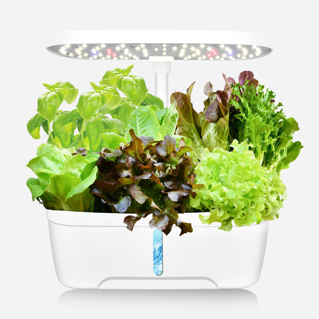Smart 6-Pod Hydroponic Growing System with LED Grow Light | Indoor Herb Garden Kit