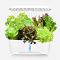 Smart 6-Pod Hydroponic Growing System with LED Grow Light | Indoor Herb Garden Kit
