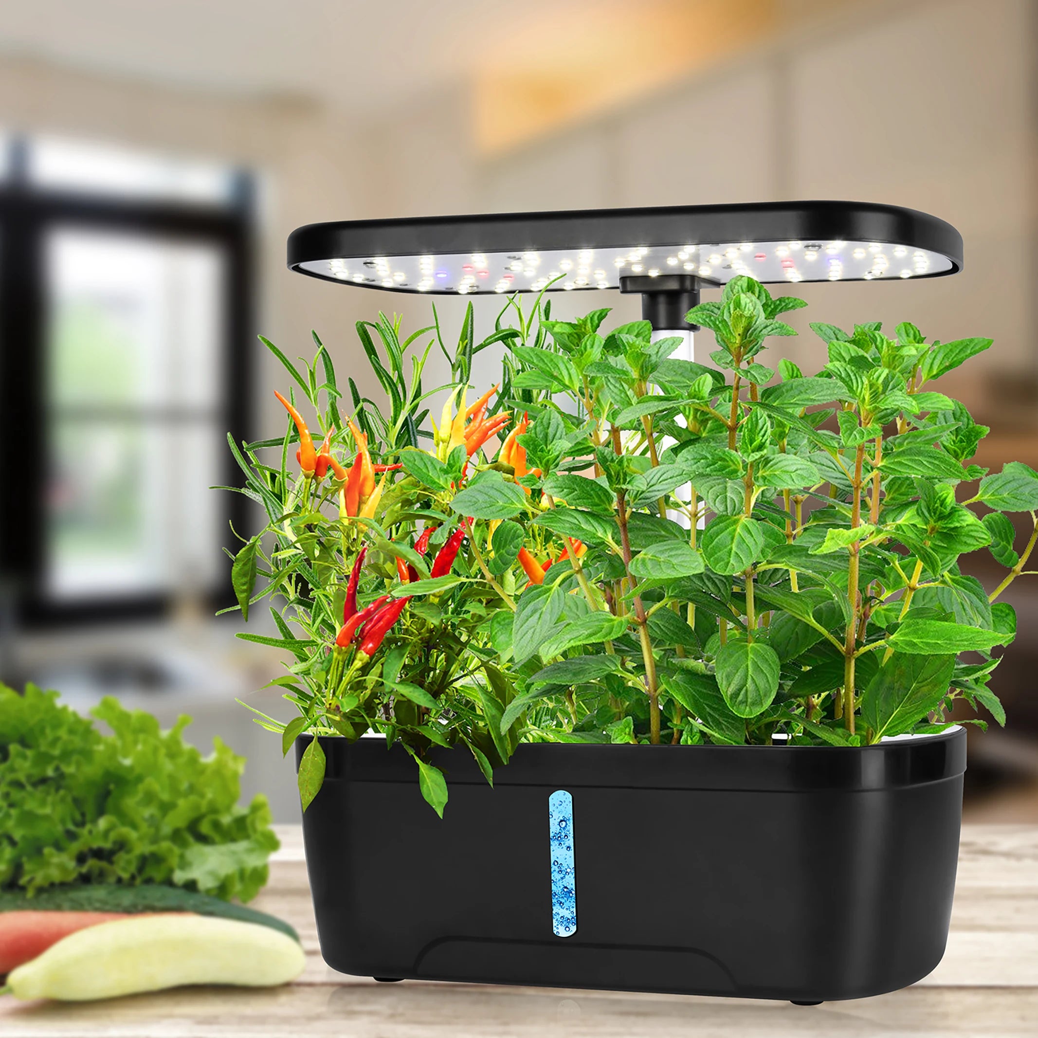 Smart 6-Pod Hydroponic Growing System with LED Grow Light | Indoor Herb Garden Kit