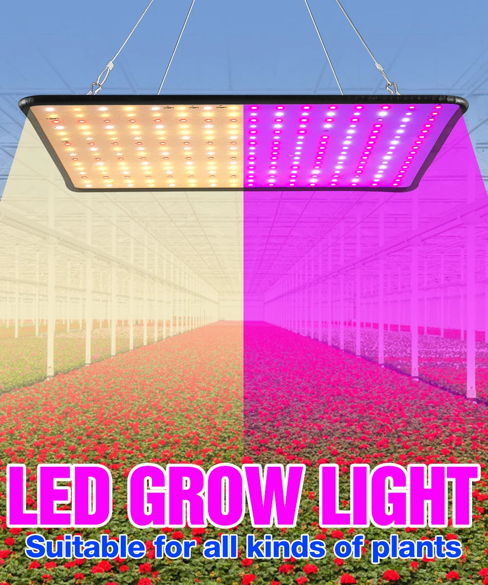 Full Spectrum LED Grow Light Panel for Indoor Plants | 200W Power Draw