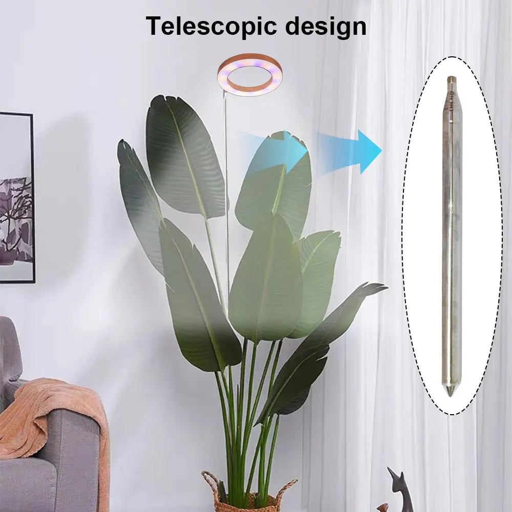 Adjustable LED Grow Light for Indoor Plants | Full Spectrum Floor Lamp with Timer