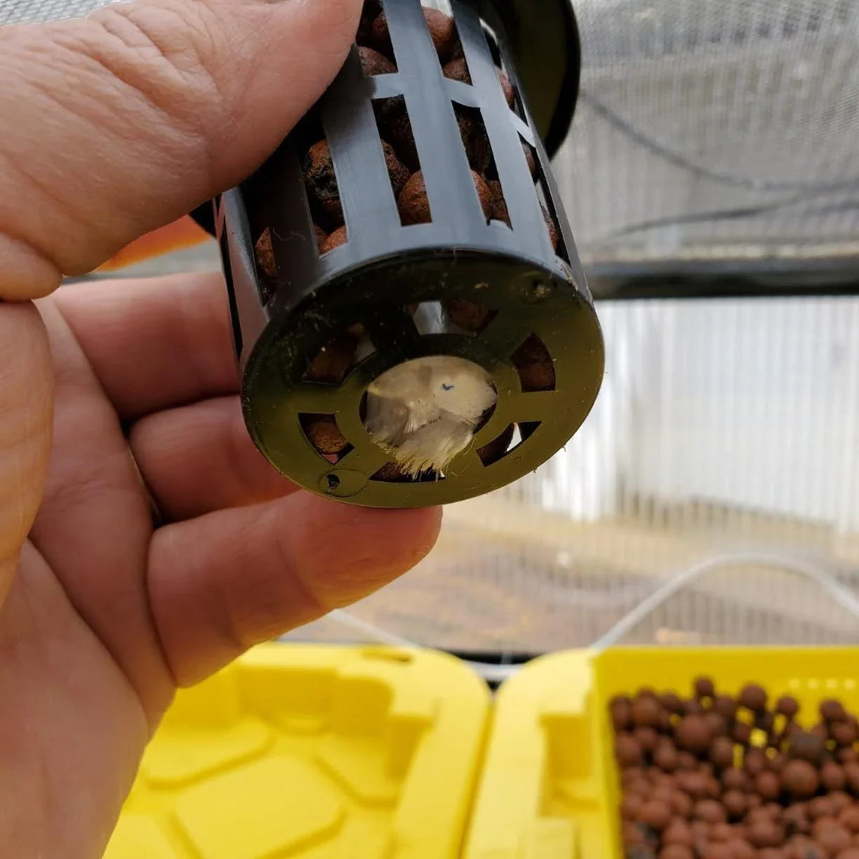 100-Pack 1.77" Hydroponic Net Cups for Seedlings, Aquaponics & Orchids