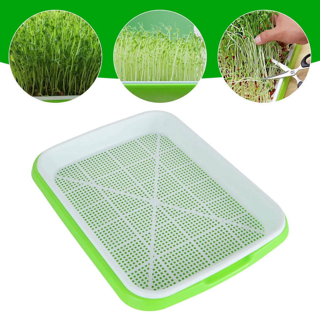 Microgreens Growing Tray for Sprouts, Seed Starting and Hydroponics