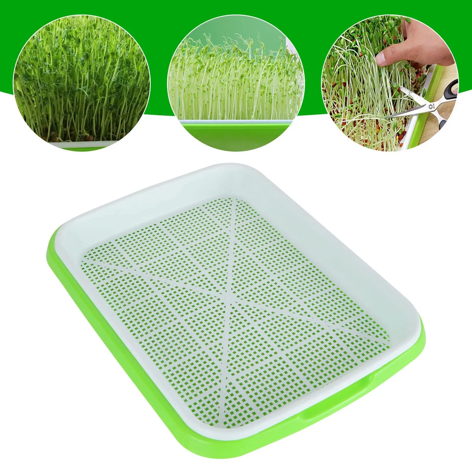 Microgreens Growing Tray for Sprouts, Seed Starting and Hydroponics
