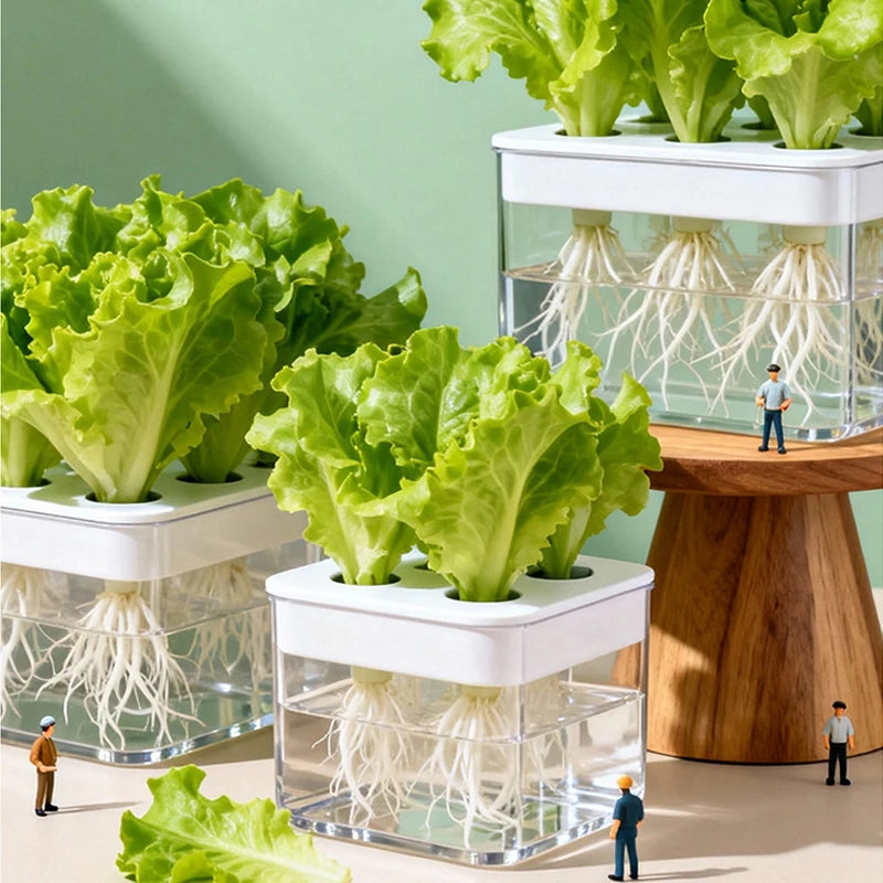 A & B Hydroponic Plant Nutrients for Vegetables, Herbs and Leafy Greens