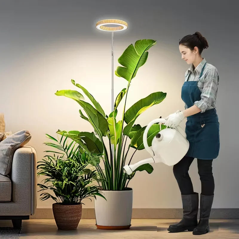 Adjustable LED Grow Light for Indoor Plants | Full Spectrum Floor Lamp with Timer