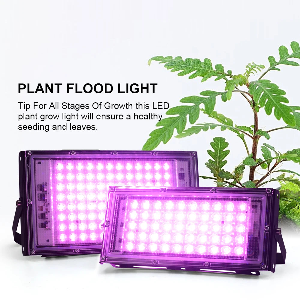 Full Spectrum LED Grow Light for Indoor Plants | 50W, 100W, 150W