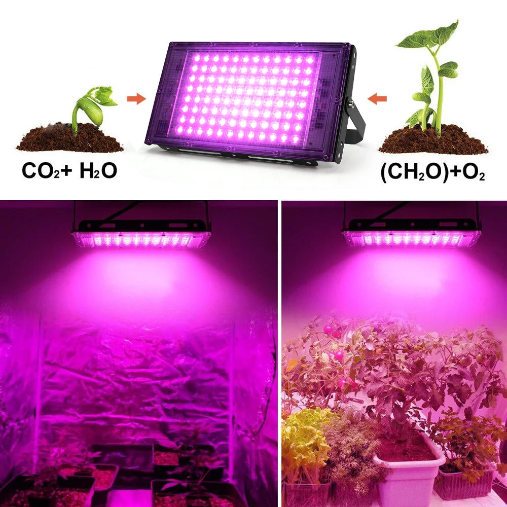 Full Spectrum LED Grow Light for Indoor Plants | 50W, 100W, 150W