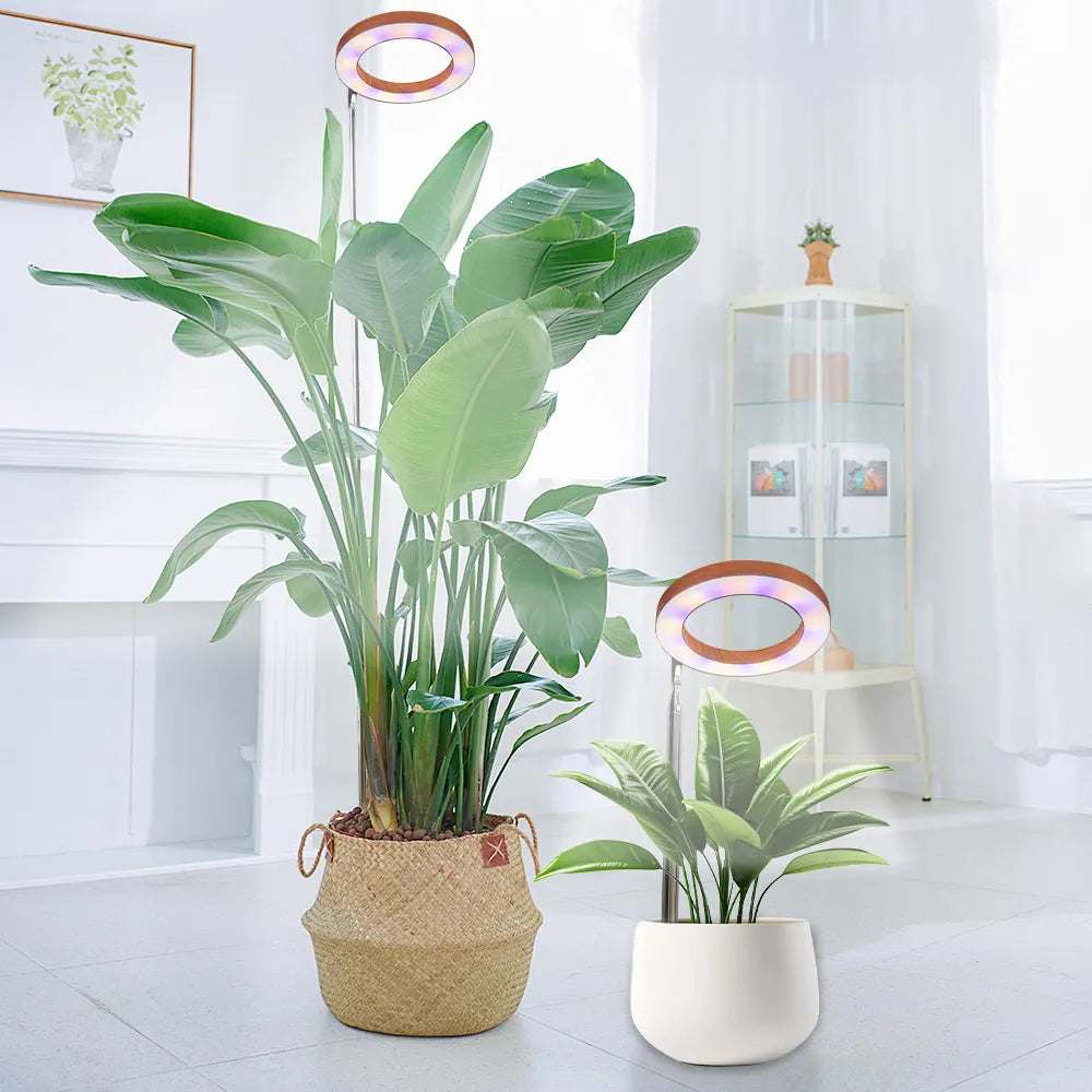 Adjustable LED Grow Light for Indoor Plants | Full Spectrum Floor Lamp with Timer