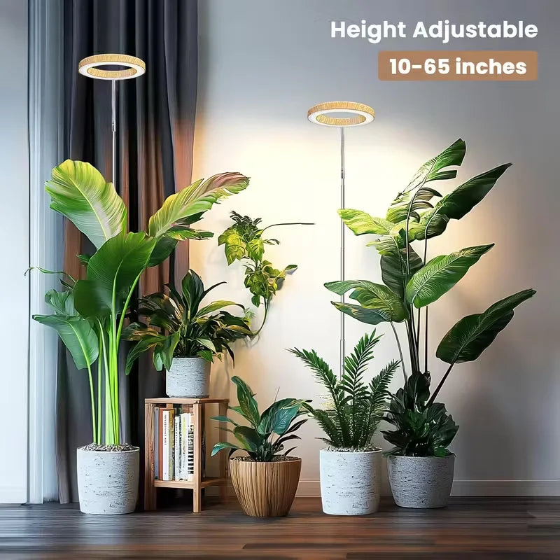 Adjustable LED Grow Light for Indoor Plants | Full Spectrum Floor Lamp with Timer