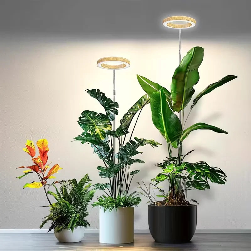 Adjustable LED Grow Light for Indoor Plants | Full Spectrum Floor Lamp with Timer