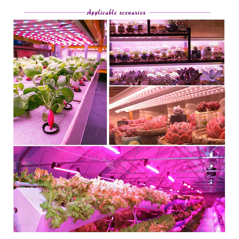 Full Spectrum USB LED Grow Light Bar for Indoor Plants | 30cm